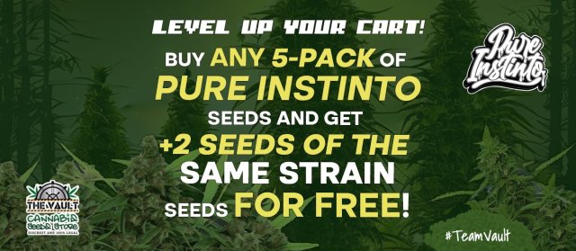 Pure Instinto Buy Any 5 Pack And Get 2 F R E E Cannabis Seeds Of The Same Strain